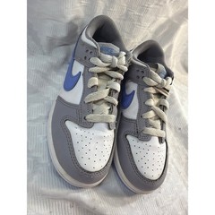 Nike Dunk Low GS White Gray Blue Casual Shoes Kids 13C FB9108-121