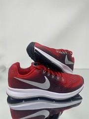 Nike Zoom Pegasus 34