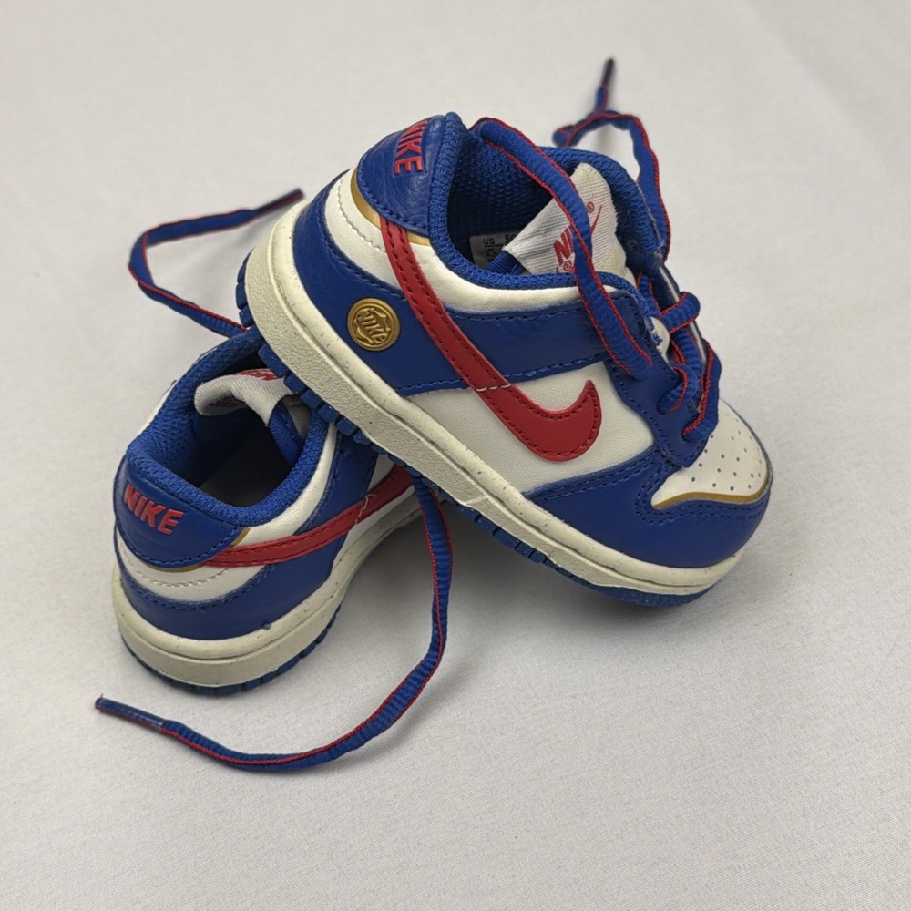 Nike Dunk Next Nature Superhero Toddler Boys Sneakers Shoes FD0675-400 SZ 5 C