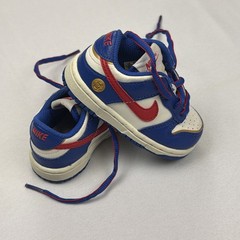 Nike Dunk Next Nature Superhero Toddler Boys Sneakers Shoes FD0675-400 SZ 5 C