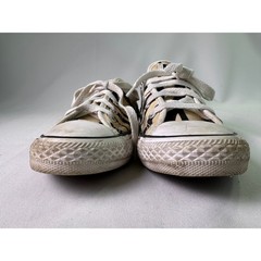 Converse Chuck Taylor All Star Low Zebra Animal Print Little Kids Shoes Sz 13.5