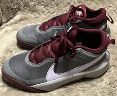 Nike Team Hustle D 10 GS Sneakers Grey Beetroot CW6735-007 Youth Sz 5Y Women 6.5