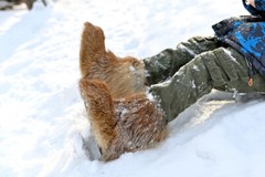 Fox winter boots real red fox fur toddler boots unisex snow boots kids mukluks