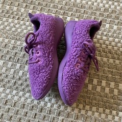 ALLBIRDS SBR Smallbirds Wool Runner Fluffy Fuzzy Wool Kids Sneakers – Y1 Youth 1
