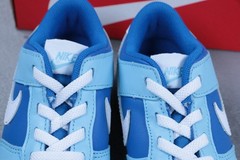Nike Dunk Low TD Argon Blue Toddler Size 9C DV2634-400 Kids Sneakers New