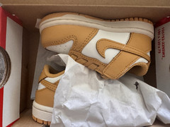 Nike Dunk Low TD Toddler Sneakers US 5C Tan/White Leather FB9107-700
