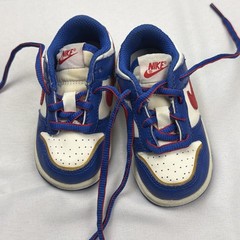 Nike Dunk Next Nature Superhero Toddler Boys Sneakers Shoes FD0675-400 SZ 5 C