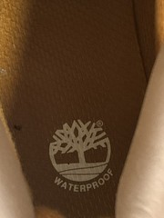 Timberland 6” Waterproof Premium Boot Junior “Wheat” TB112909-713 GS Size 5y