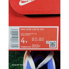 Nike Dunk Low SE GS ‚Everything You Need‘ Sz 4 FN0600 801
