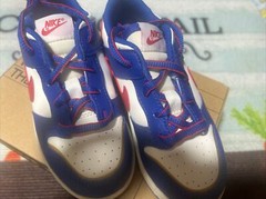 Toddler Nike Dunk Low TD NN Game Royal University Red-Sail Size 10c FD0675 400