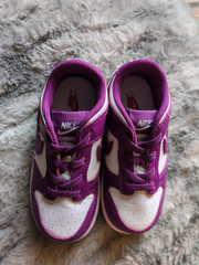 Nike Dunk Retro Low Viotech Purple White TD Toddler Shoes FB9107-110 Size 8C