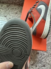 Nike Dunk Low PS Size 3Y College Orange 2006