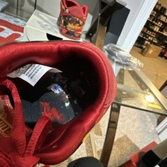 Nike SB Dunk Low Pro QS (TD) Varsity Red Wizard of Oz 6C Unisex Kids Sneaker