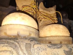 TIMBERLAND Classic 6″ Junior Waterproof Boots /Wheat Nubuck (12909M), Size 5.5