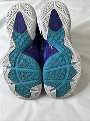 Size 7 (GS) – Nike LeBron 9 Mid Summit Lake Hornets