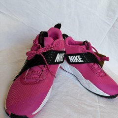 Nike Court Borough 2 Low Phantom Bright Spruce NWT Size 6 (GS) –