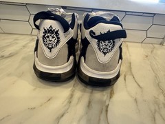 Nike LeBron Witness 7 Mid White Black – DQ8650-100 Youth 3.5Y