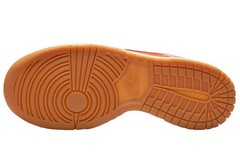 Nike Dunk Low SE Everything You Need GS Kids FN0600-801 New Authentic