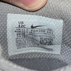 Nike Dunk Low Summit White/Light Carbon TD Toddler Size 12C Shoes (FB9108-101)