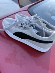 Pumas