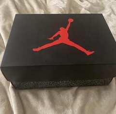 Air Jordan 3 Retro GS