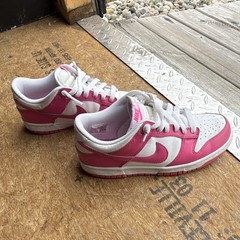 Nike Dunk Low Low Top Leather Sneaker Pink/White 5Y FB9109-102