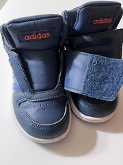 Adidas Hoops Mid 2.0 Toddlers Style : Gz7780 Size: 6