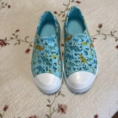 Dinosaurs Slip On Shoes Croc Style Plastic Kids Youth Size 13/1