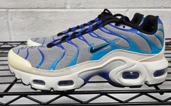 Grade School Nike Air Max Plus Lt Smoke Grey/Black (CD0609 019) – 6