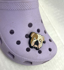 Crocs Unisex Kids Classic Clogs Lavender Size J1 w/Bulldog & Doughnut Jibbitz