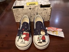 Vans ( Peanuts) Charlie Brown Christmas Tree & Snoopy Slip on Sneakers 8.5 Kids