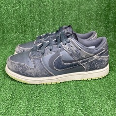 Nike Dunk Low Size 3Y Youth Dunk Blazer SB Skate Shoes – DQ6216-001