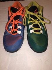 Nike Zoom Freak 1 Multicolor Charles+Veronica Size 5.5Y Pre Owned Condition
