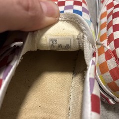 Vans Off The Wall Rainbow Checkered Slip-On Sneakers Youth Size 5