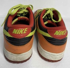 Nike Dunk Low GS Orange Blaze Cactus Shoes GS Size 7Y Women’s 8.5 310569-032