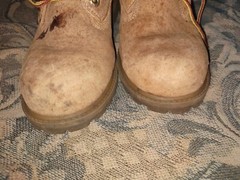 TIMBERLAND Classic 6″ Junior Waterproof Boots /Wheat Nubuck (12909M), Size 5.5