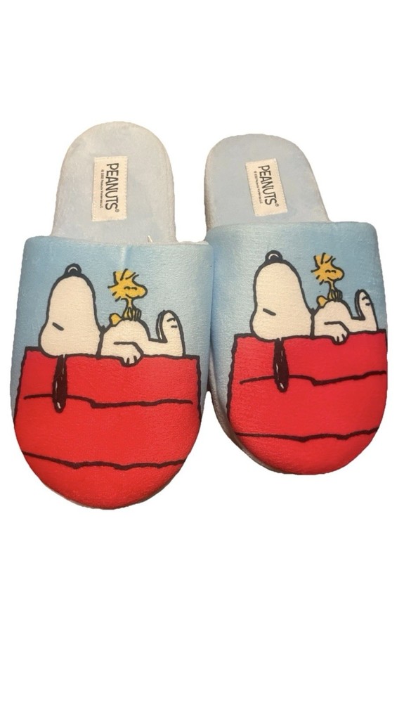 Peanuts Children’s Size S Snoopy & Woodstock House Shoes Slippers NWT