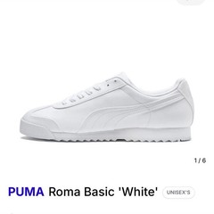 PUMA Roma Basic Jr Kids Sneaker White/Light Gray Lace Up US 6.5y 354259-14