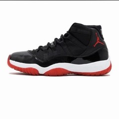 2019 Jordan bred 11