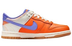 Nike Dunk Low SE Everything You Need GS Kids FN0600-801 New Authentic
