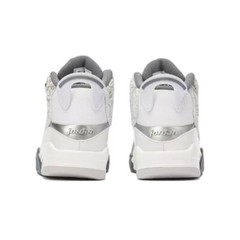 Nike Air Jordan Dub Zero White Cool Grey Shoes DV1360-107