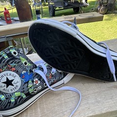 Converse Chuck Taylor All Star Cookie Monster Sesame Street High Top Canvas 1
