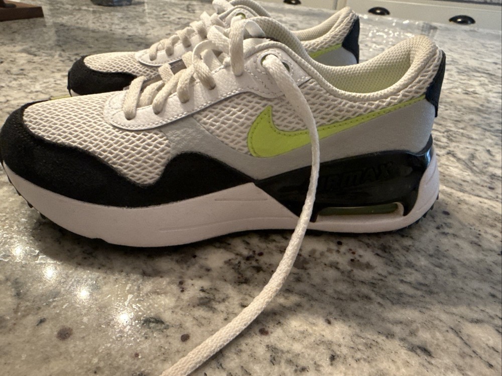 Big Kid Nike Air Max