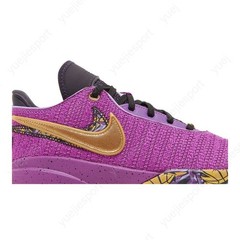 Nike Lebron 20 Gs Young Heirs FD0207-500