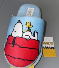 Peanuts Soft Slippers Snoopy On Red Doghouse With Woodstock – Youth Size L/XL
