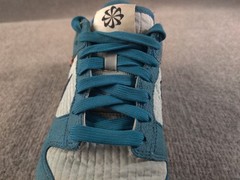 Nike Dunk Low SE Blue White Brown Unisex Kids‘ Sneakers Youth 7Y DC9561-400