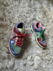 Nike Dunk Low GS Low Top Leather Multicolor Colorblock 6.5 DN0855-600