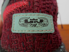 Nike LeBron 20 SE GS Night Maroon Youth Shoes Size 6Y – FB8974-600