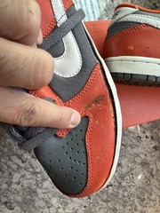 Nike Dunk Low PS Size 3Y College Orange 2006