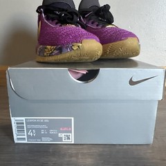 Size 4.5 (GS) – Nike LeBron 20 Mid Young Heirs